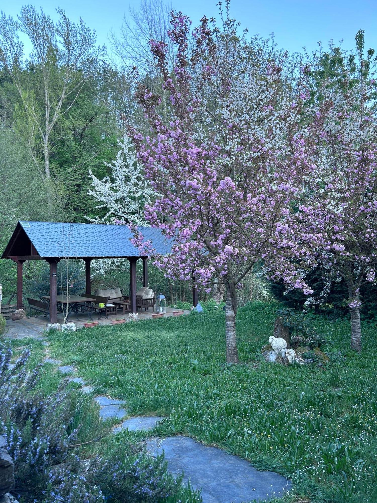 Casa Begona Villa Iguena Екстериор снимка